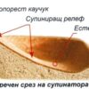 Детски ортопедични стелки Супинатори - Image 7